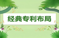 六大經(jīng)典專利布局模式解析